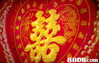 wingpang.studio 提供专业摄影及录影服务,包括婚纱 孕妇 毕业 家庭 个人造形 宴会 大型比赛 公司活动 产品等摄影录影服务