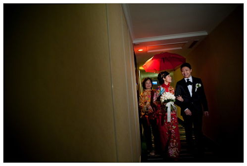 terry.l photography 提供婚礼摄影,产品摄影,婚纱外影等服务