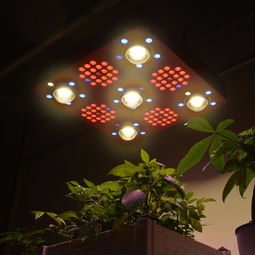 深圳植物灯拍照 宝安led拍照 led产品图片摄影,专业led摄影公司